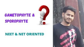 What is the difference between gametophyte and sporophyte  NEET and CSIR Life Science NET [upl. by Einamrej]