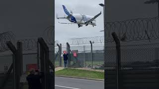 Welcome to London😱😱🥳🇬🇧✈️✈️EXCLUSIVE AIRBUS BELUGA XL Landing at Heathrow Airport beluga viral [upl. by Yacano]