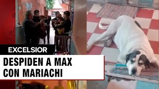 Conmovedora despedida a Max el perrito asesinado en la colonia Moctezuma [upl. by Eidnac]