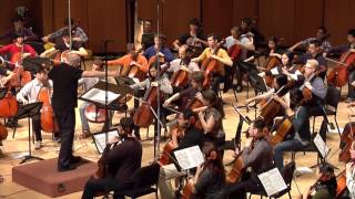 MAHLER Symphony No 5 Adagietto  Northwestern Cello Ensemble [upl. by Yrad]