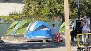 Are Florida’s Homeless Disappearing Shelters And Law Enforcement Lying About Where They Are [upl. by Meris]