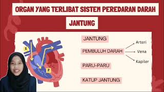 Sistem Perederan Pada ManusiaTugas Pengembangan Bahan Ajar [upl. by Oivalf793]