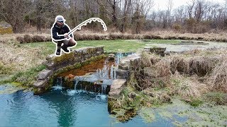 Fishing for a TROPHY Fish in a TINY CREEK New PB [upl. by Aseyt]