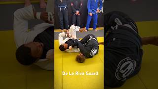 How to use De La Riva Guard  Berimbolo jiujitsulifestyle brazilianjiujitsulifestyle blackbelt [upl. by Abel788]