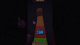 Minecraft Random Item Pillars minecraft funny memes [upl. by Adila]