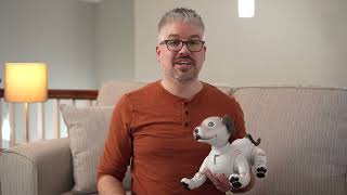 aibo  aibo Robotic Puppy 40 Update [upl. by Prisca]