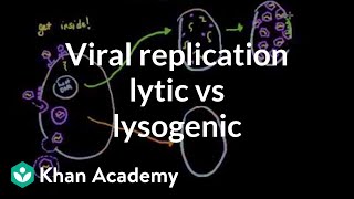 Viral replication lytic vs lysogenic  Cells  MCAT  Khan Academy [upl. by Susi]