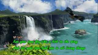 Let Your Love Flow  Bellamy Brothers Lyrics [upl. by Akihc]