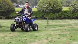 ATV 4x4 300cc 500cc quad bike for sale [upl. by Droffilc]