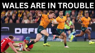 WALLABIES WILL WALLOP WALES [upl. by Adnov423]