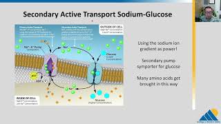 BIOL201 Ch53  Active Transport [upl. by Normand]