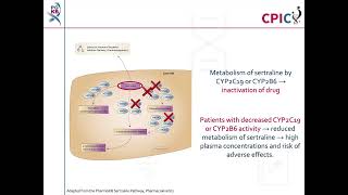 CPIC guideline for sertraline and CYP2C19 CYP2B6 [upl. by Layne503]