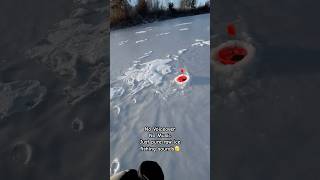 Midwest ASMR icefishing winterfishing viralvideos shorts wintersport [upl. by Katerine]