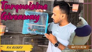 Giveaway of Exotic parakeets on 1k subscribers 😍🤩  Tourquisine parakeet giveaway [upl. by Siuluj611]