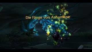 iZocke World of Warcraft Artefakt Questreihe Fänge von Ashamane WildheitsDruide [upl. by Gena539]