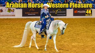 Arabian Western Pleasure AAOTR at Scottsdale Arabian Horse Show [upl. by Samaria]