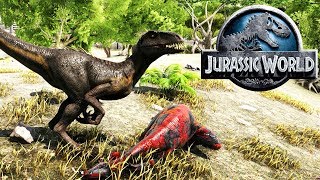 RECINTO DE CAZA DEL INDORAPTOR DINOSAURIO SUPERHIBRIDO JURASSIC WORLD 2 Ark [upl. by Graff]