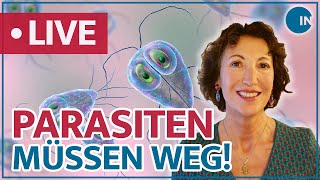 Parasiten – Schmarotzer im Darm  medical INSIGHTS [upl. by Wynny]