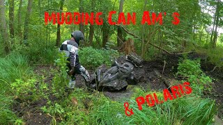 Can Am Renegade Outlander Polaris Scrambler 1000cc ATV Power [upl. by Namqul]