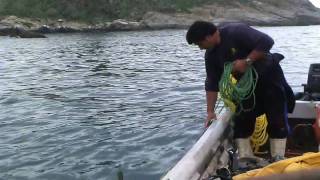 Pescadores de la Caleta de Zapallar [upl. by Beshore326]