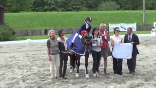 Pro Elite Pamfou Dressage 2015 [upl. by Schnabel]