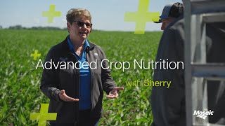 Advanced Crop Nutrition With Sherry  Episode 7 Teaser [upl. by Nahgeam]