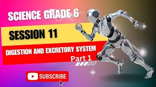 digestion and excretory system  grade 6  science  first term [upl. by Aidroc]