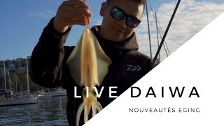 LIVE DAIWA  Présentation des nouveautés pour la pêche eging [upl. by Aihsinat]