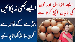 Dr Zafran egg cooking methods  anday k faiday  egg benefits egg [upl. by Ajam]