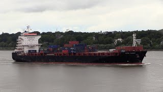 🚢 Ship Spotting in Hamburg Germany Container Ship Cape Quest arriving on the Elbe River [upl. by Charisse803]