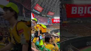 Fukuoka SoftBank hawks Darwinzon Hernandez walk up song [upl. by Rorry]