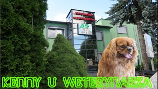 Cavalier u weterynarza quotASquot Przychodnia weterynaryjna Piła weterynarz piła [upl. by Caves]