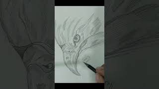 Eagle Head Sketch with Shading Tips shortvideo pencildrawing art pencilart sketch drawing [upl. by Christoper321]