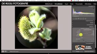 Adobe Lightroom Tutorial  Fotobewerking van Cursist 1 [upl. by Laurette]