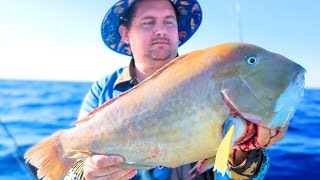 Mandurah offshore fishing Catching some of the tastiest fish in the ocean fishing [upl. by Rance]