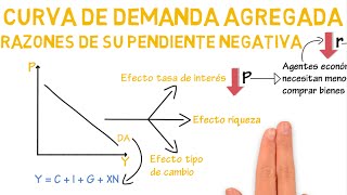 Curva de demanda agregada razones de su pendiente negativa  Cap 31  Macroeconomía [upl. by Barling876]