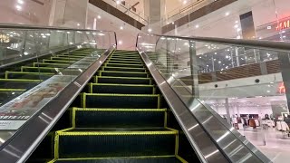 イオンモール沖縄ライカム アクアリウム前エスカレーター1階2階AEON MALL Okinawa Rycom Escalator 1F2F in front of Aquarium [upl. by Essy564]