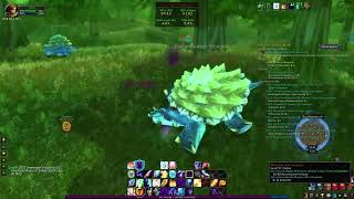 Hinterlands Mission II Defeat Giant Turtles  WoW Classic Season of Discovery [upl. by Ahseiyk883]