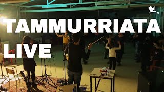 Tammurriata  Tammurriata Nera ∙ Progetto Parthenias Live [upl. by Enrico]