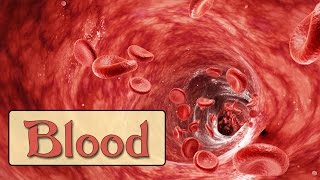 Easy Physiology  Blood  1Hemostasis amp Coagulation Cascade [upl. by Cleodell]