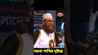 ময়না পাখির দৃষ্টান্ত  allama delwar hussain saidi waz দেলোয়ারহোসাইনসাঈদী delowarhossainsaidi [upl. by Oleic]