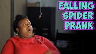 Falling Spider Prank [upl. by Ramhaj322]