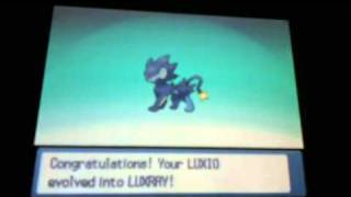 Luxio evolves into Luxray Pokemon Pearl [upl. by Hakan575]