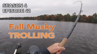 Trolling Tips for Fall Muskies  The Baitfish Connection S4E42 [upl. by Anytsyrk]