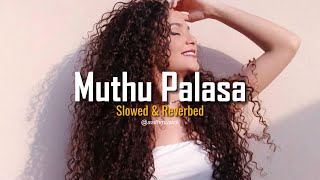 Aalawantha neth vida Muthu Palasa  slowed  reverb [upl. by Anahsat]