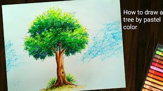 How to draw tree by pastel color tree painting [upl. by Yrannav823]