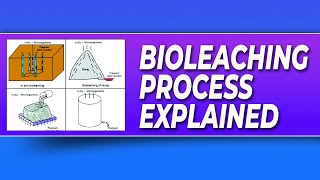 Bioleaching Process [upl. by Gaynor687]