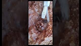 Digging agates quartz crystal gemstone satisfying [upl. by Nodarb503]