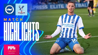 100   HIGHLIGHTS  Brighton v Crystal Palace  Premier League 2 [upl. by Melisande561]