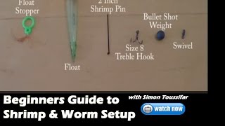 Beginners Guide to Worm and shrimp fishing for salmon Tackle setup and bait [upl. by Kcirddes299]